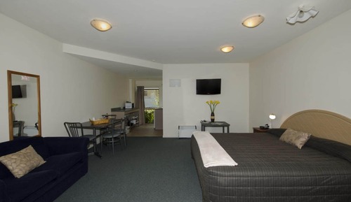 Studio, 1 King Bed, Mobility Accessible, Non Smoking