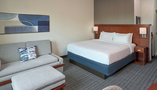 Room, 1 King Bed with Sofa bed (Hearing Accessible)