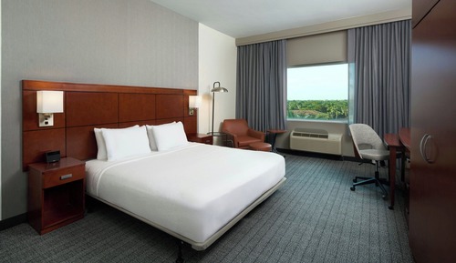 Room, 1 King Bed with Sofa bed (Mobility/Hearing Access, Roll-in Shwr)