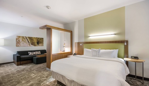 Suite, 1 King Bed with Sofa bed