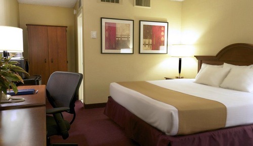 Executive Suite, 1 King Bed with Sofa bed