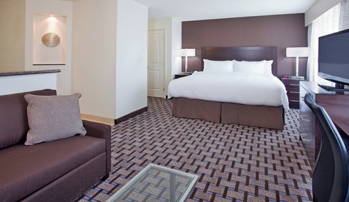 Studio Suite, 1 King Bed with Sofa bed