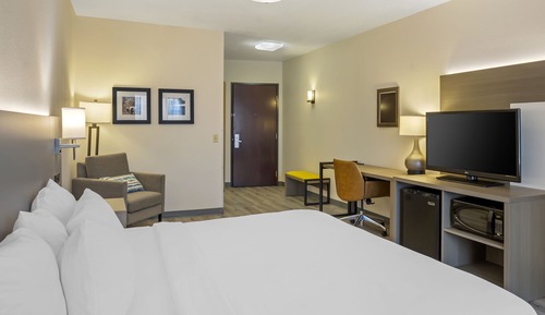 Standard Room, 1 King Bed, Non Smoking