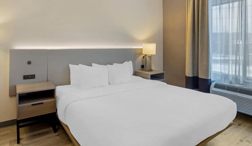 Suite, 1 King Bed with Sofa bed, Non Smoking (Efficiency)