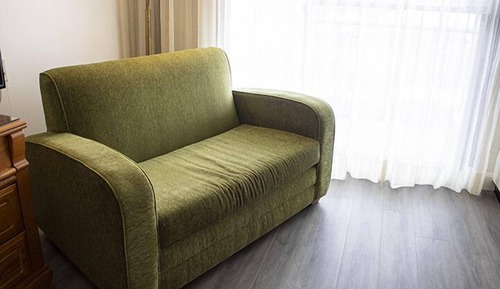 Econo-comfort room, 1 queen-size bed and a single sofa-bed, shower/bath