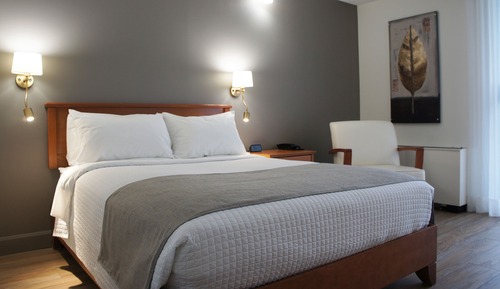 Business Room, 1 Queen Bed (Wooden Floor)