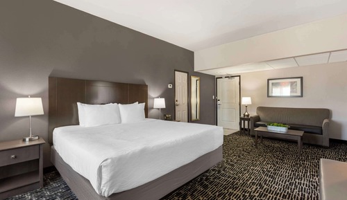 Standard Room, 1 King Bed with Sofa bed, Non Smoking, Kitchenette (with Sofabed)