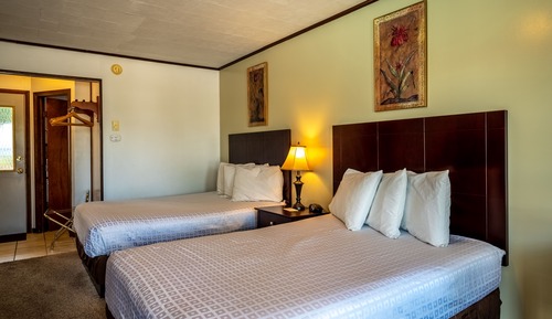 Standard Room, 2 Double Beds, Non Smoking, Pool View