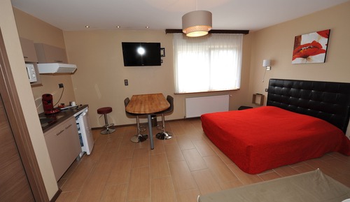 Comfort Studio, 1 Bedroom, Kitchenette, Annex Building