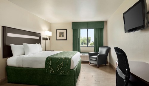 Room, 1 King Bed, Accessible, Non Smoking