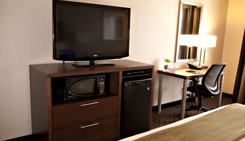 Standard Room, 1 King Bed, Accessible (Accessible Tub)