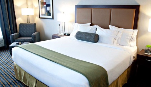 Suite, 1 King Bed, Accessible (Roll-In Shower)
