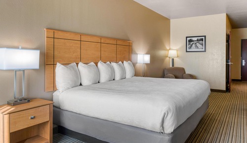 Standard Room, 1 King Bed, Accessible, Refrigerator & Microwave