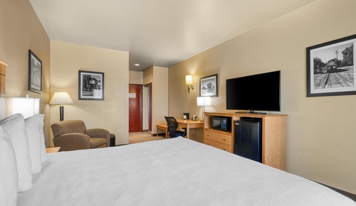 Standard Room, 1 King Bed, Non Smoking, Refrigerator & Microwave