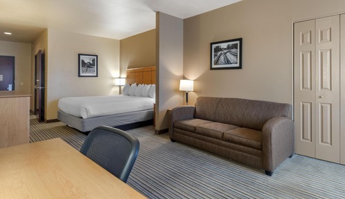 Suite, 1 King Bed, Accessible, Refrigerator & Microwave (with Sofabed)