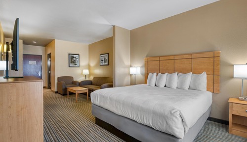 Suite, 1 King Bed, Non Smoking, Refrigerator & Microwave (with Sofabed)