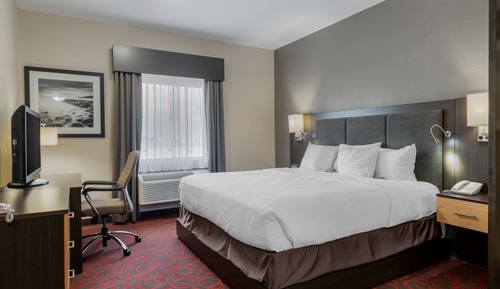 Standard Room, 1 Queen Bed, Accessible, Non Smoking (with Sofabed)