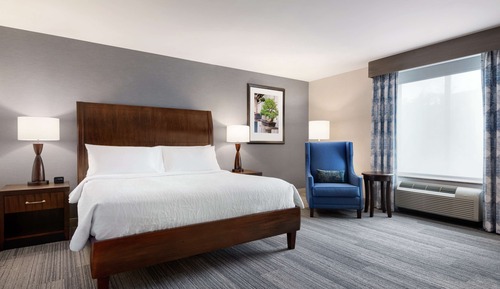 Room, 1 King Bed, Accessible (Roll-in Shower)