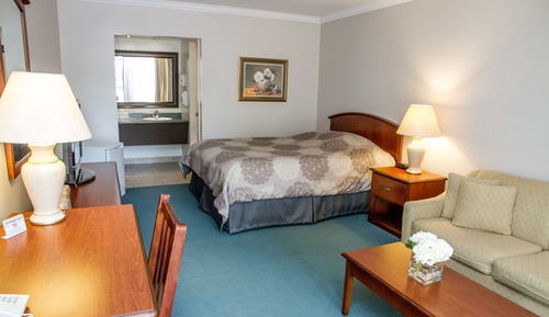 Suite, 1 Queen Bed
