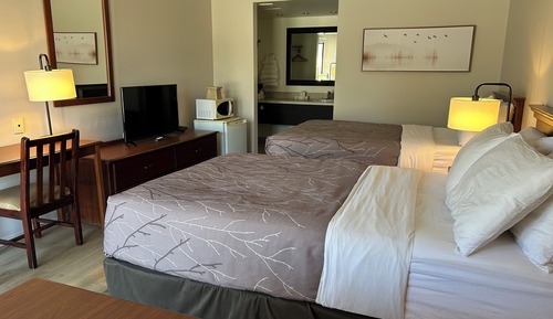 Standard Room, 2 Double Beds