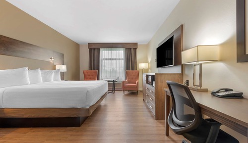 Standard Room, 1 King Bed, Non Smoking, Refrigerator & Microwave