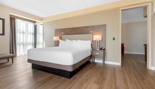 Standard Room, 1 King Bed, Non Smoking, Jetted Tub (Larger Room;with Sofabed)
