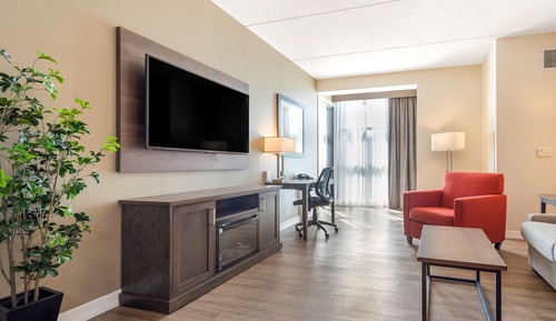 Suite, 1 King Bed, Kitchenette, Park View (with Sofabed)