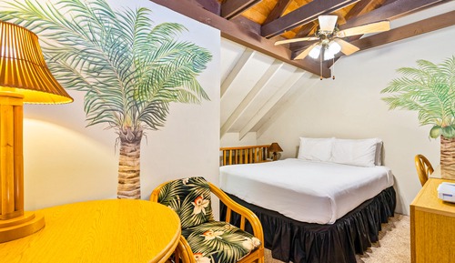 Room (Studio,Deluxe)