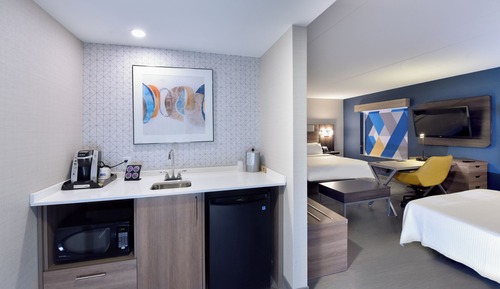 Suite, 1 King Bed with Sofa bed