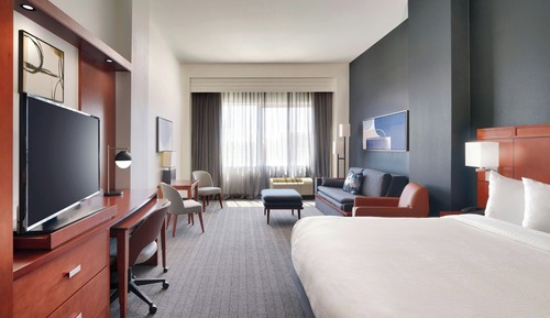Suite, 1 King Bed with Sofa bed