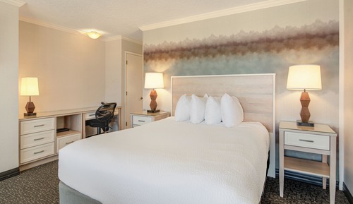 OCEANFRONT QUEEN PET FRIENDLY