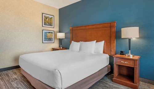 Room, 1 King Bed, Accessible (Roll in Shower)