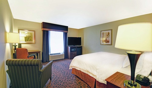 One King Bed