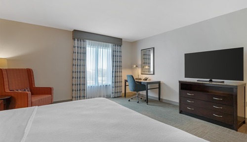 Room, 1 King Bed