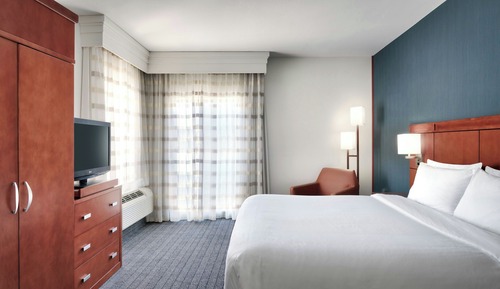 Suite, 1 King Bed with Sofa bed