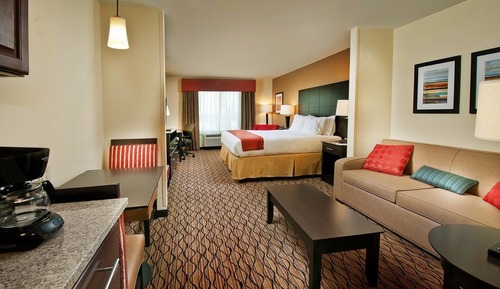 Suite, 1 King Bed with Sofa bed