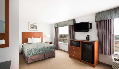 Studio Suite, Multiple Beds, Non Smoking