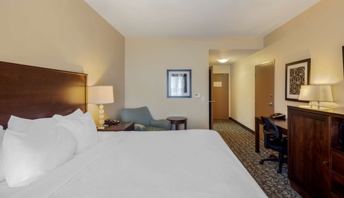Standard Room, 1 King Bed, Non Smoking, Refrigerator & Microwave (Pet Friendly)
