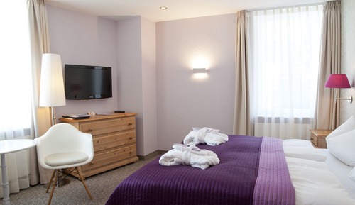Mainhouse 3 Star Classic Double Room