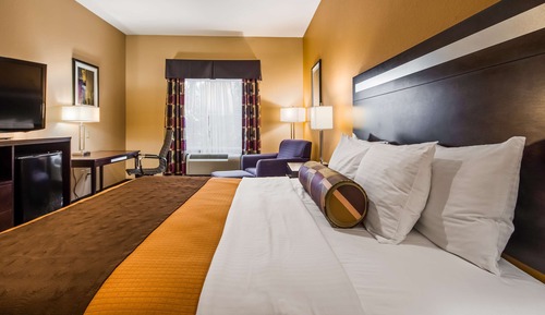 Standard Room, 1 King Bed, Refrigerator & Microwave