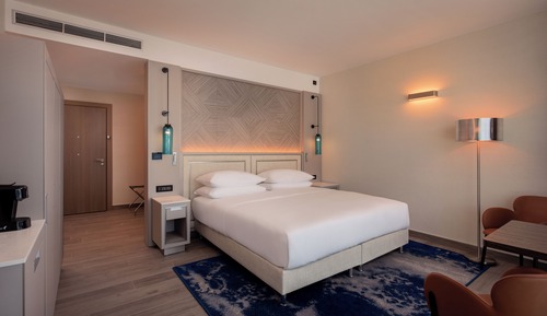 Room, 1 King Bed