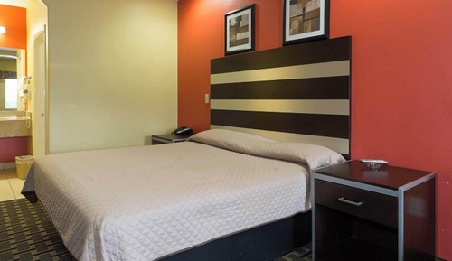 Standard Single Room, 1 King Bed