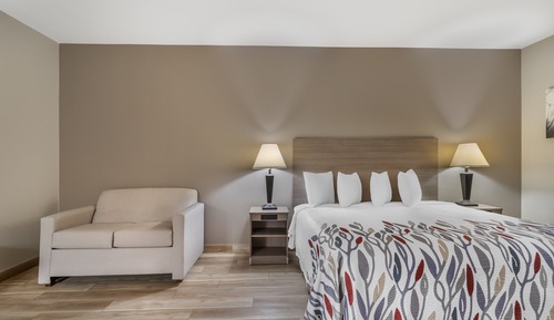 Superior Room, 1 King Bed, Non Smoking