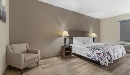Deluxe Room, 1 King Bed, Roll-in Shower, Non Smoking