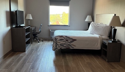 Deluxe Room, 1 King Bed, Non Smoking