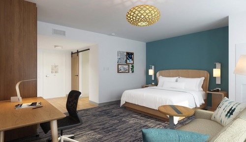 Room, 1 King Bed with Sofa bed