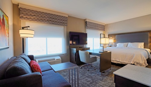 Room, 1 King Bed with Sofa bed