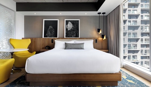 Room, 1 King Bed (Hop)