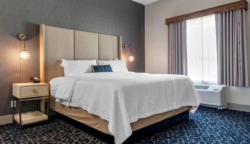 Room, 1 King Bed, Non Smoking