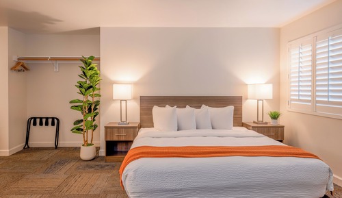 Deluxe Room, 1 King Bed